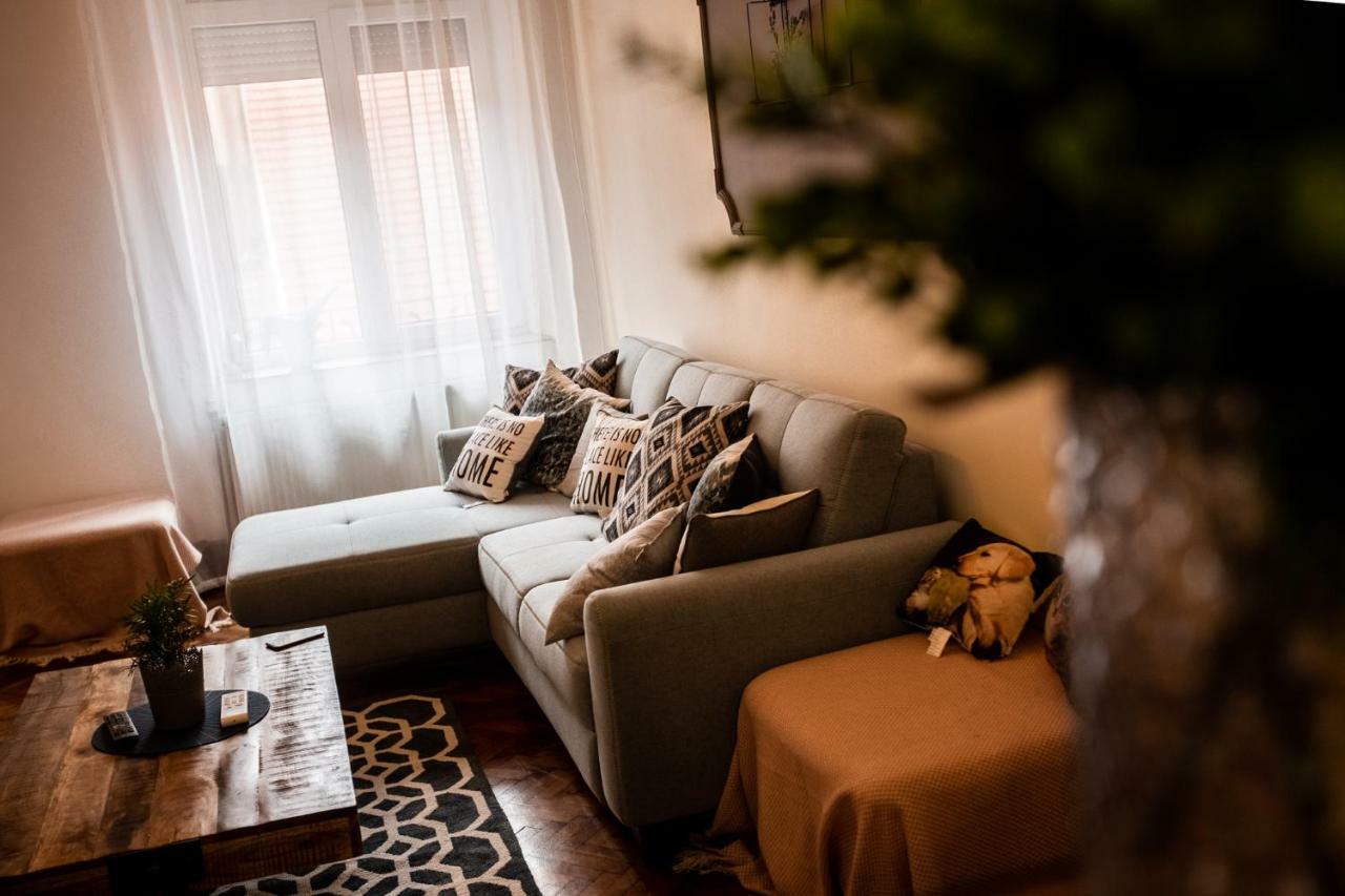 Art Downtown Alecsandri St Luxury Apartment ออราแด ภายนอก รูปภาพ